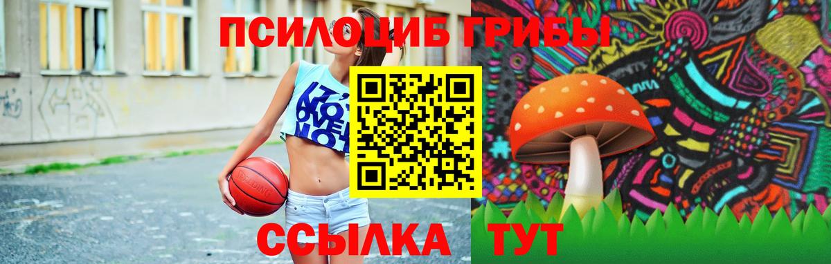 где продают наркотики  Псилоцибиновые грибы Magic Shrooms  Псилоцибиновые грибы ЛСД  Вход с VPN  Татарск 